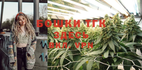 спайс Аркадак